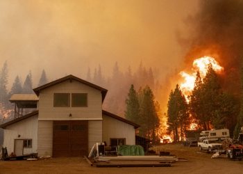 «No volverán»: 13 muertos, entre ellos 7 niños, en incendio de vivienda en Filadelfia