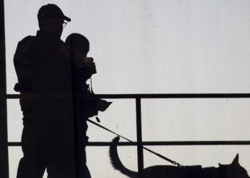 Ministerio de Justicia confirma la captura de tres pandilleros salvadoreños en México