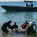 Ballena herida encontrada cerca de la costa de Atenas vuelve a aguas profundas