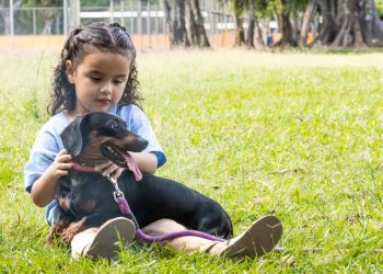 «Ley de Bienestar reconoce a los animales como seres sintientes», dice el ministro, David Martínez