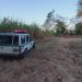 Muere un hombre tras ser atacado por abejas en Usulután