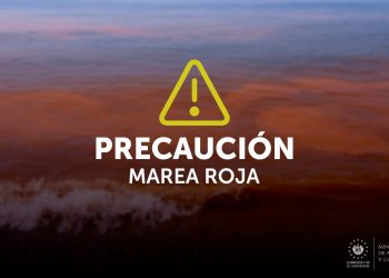 Continúa alerta por marea roja tóxica