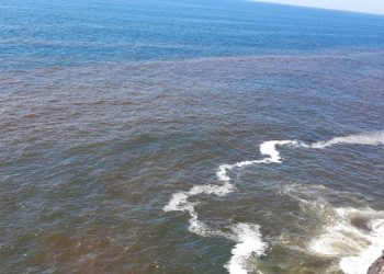 Recomiendan evitar el consumo de moluscos tras aparición de marea roja tóxica en costas salvadoreñas