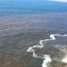 Recomiendan evitar el consumo de moluscos tras aparición de marea roja tóxica en costas salvadoreñas