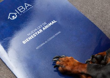 Comisión emite dictamen favorable para la aprobación de ley de protección animal
