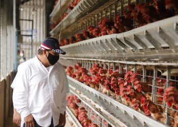 Diáspora invertirá $200 millones en el país este año