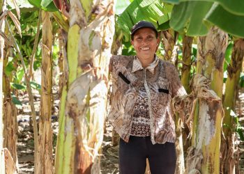 Sembrando Vida impulsa la seguridad alimentaria de 10,000 familias