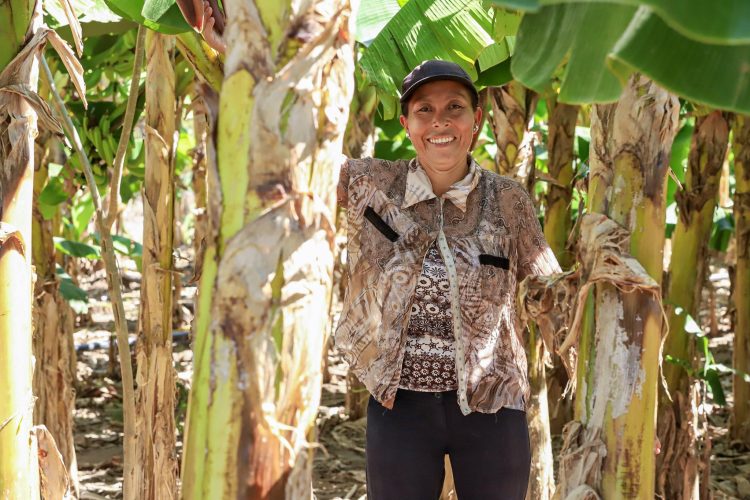 Sembrando Vida tiene incidencia en 10 departamentos del país que forman parte del corredor seco. /Foto: Diario El Salvador