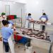 Productores de tilapia exploran los mercados de EE. UU. y México