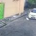 Unidad de Bienestar Animal identifica zona del hecho y el nombre del responsable de la agresión a canino en San Miguel