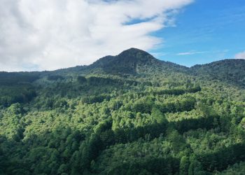 El Salvador tendrá un laboratorio sobre recursos genéticos forestales