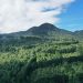 El Salvador tendrá un laboratorio sobre recursos genéticos forestales