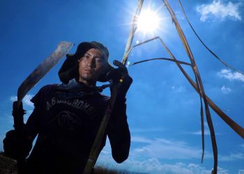 El Salvador endulzó al mundo en los últimos cinco años