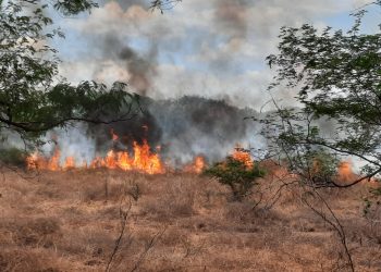 Reportan un aumento de incendios este año en Morazán