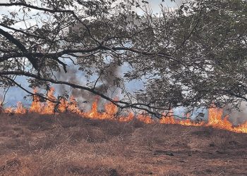 Piden a la población prevenir incendios