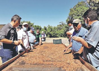 Productores de cacao buscan fortalecer sus conocimientos