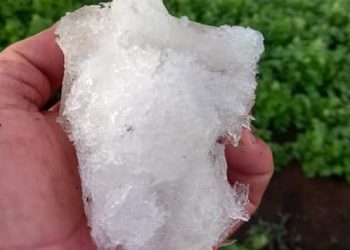 Chalatenango registró temperatura de 0° centígrados esta mañana