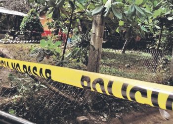 Anciano muere al caer a un barranco en San Vicente