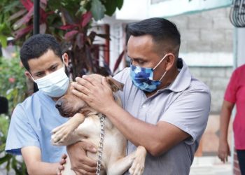 Alcaldía de Ilopango reportó el decomiso de cuatro caninos agresivos por denuncias recibidas