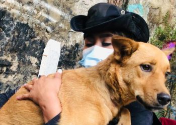 Rescatan perrita que vivía en condiciones insalubres en Apopa