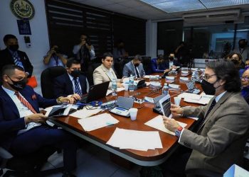 Nuevas Ideas rechaza el espionaje en ciberdelitos