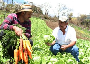 El Salvador le apuesta más a la tecnología e investigación en la agricultura en 2022