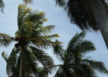 Vientos norte se mantendrán lo que resta de este domingo y la madrugada del lunes