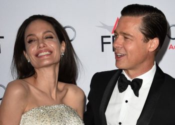 Brad Pitt demanda a Angelina Jolie por vender su parte del viñedo francés donde se casaron