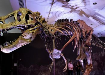 El reinado de los dinosaurios acabó en la primavera