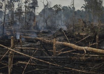 Capital colombiana en «alerta ambiental» por incendio en Amazonía del tamaño de París