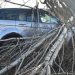 Tormenta Eunice se abate sobre el norte de Europa y deja nueve muertos