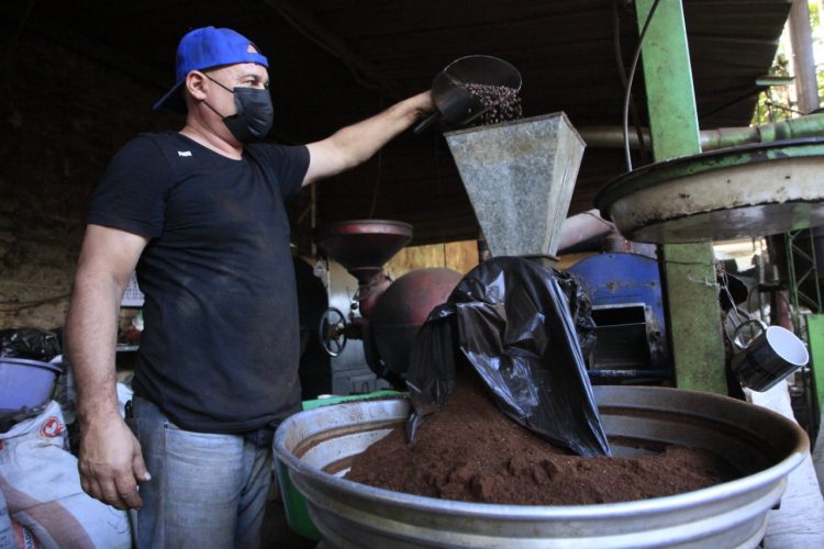 Café De La Cruz, tiene una producción actual de 1,000 al mes. Fotos / Guillermo Mart´nez.