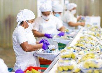 Gobierno y BID inyectarán $400,000 a empresas de la zona costero-marina