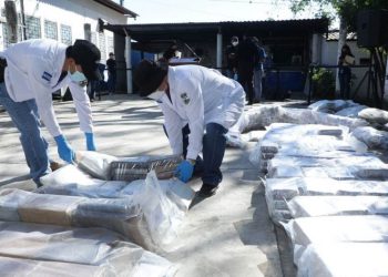 Autoridades destruyen 690 kilogramos de cocaína decomisadas entre junio 2021 a enero de 2022