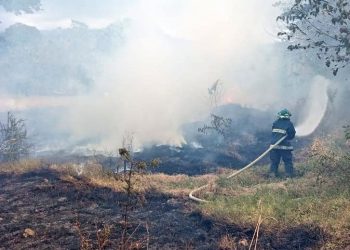 Bomberos trabajan para extinguir incendio forestal en Chalatenango