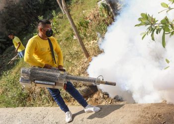 Campaña de fumigación beneficiará a más de 1 millón de hogares salvadoreños