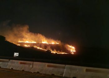 Autoridades trabajan para sofocar incendio forestal en carretera a Surf City