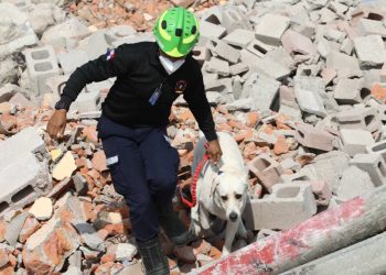 Arcón, un método de búsqueda canina perfeccionado para rescatar vidas
