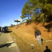 Policía de Raleigh publica video en el que un oficial provoca la muerte del salvadoreño Daniel Turcios