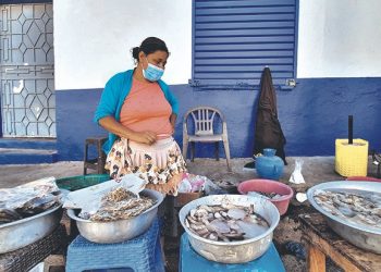 Comerciantes de moluscos en La Unión acatan la veda por marea roja
