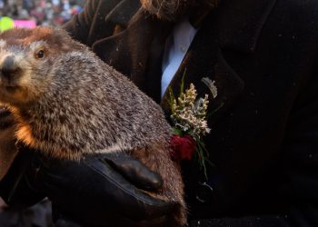 La marmota meteorológica predice otras seis semanas de invierno en Estados Unidos
