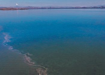 Ministerio de Medio Ambiente y Recursos Naturales tomó muestras en las aguas de La Unión
