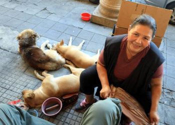 «Yo pienso que la persona que maltrata a un animal es porque no se quiere ni ella misma», Rosa Panameño