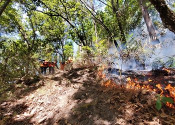 Bomberos de El Salvador continúa sofocando incendio forestal en el Cerro Izotalillo, en Chalatenango