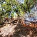 Bomberos de El Salvador continúa sofocando incendio forestal en el Cerro Izotalillo, en Chalatenango
