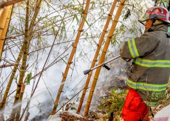 Bomberos de El Salvador atendió este domingo dos emergencias por incendios