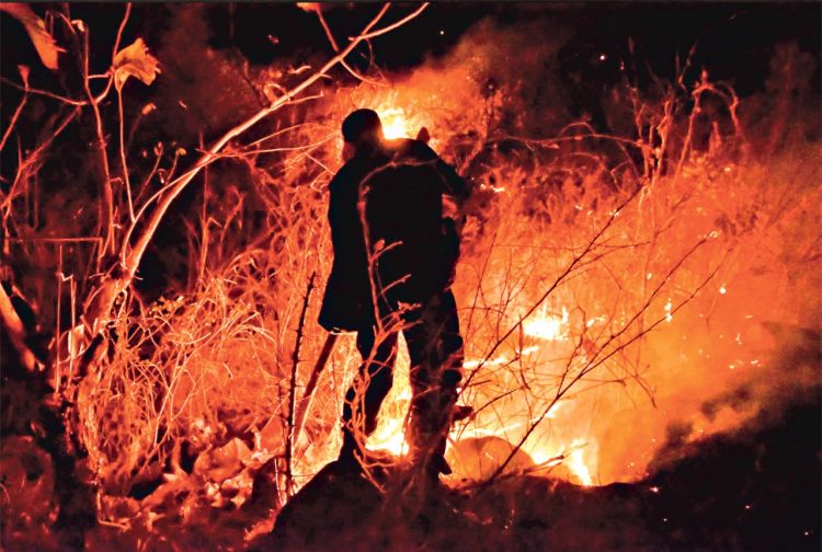 FOTO/ Diario El Salvador