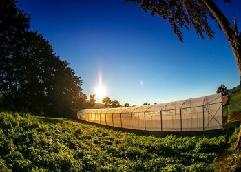 CUBO agrícola será levantado en Río Chiquito
