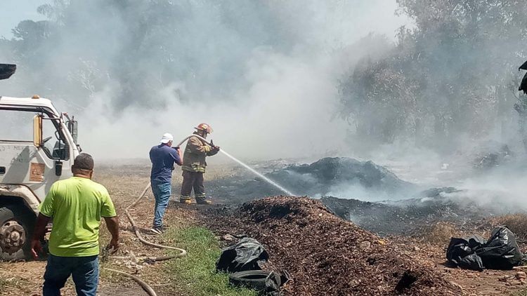 FOTO/ Diario El Salvador