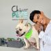 VIDEO: René Valdivieso destacó los servicios del hospital veterinario público Chivo Pets que recibió su mascota Mateo